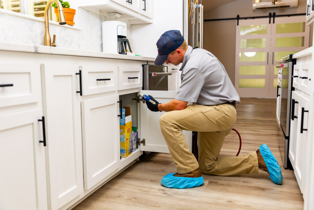 The Colony xpert pest management
